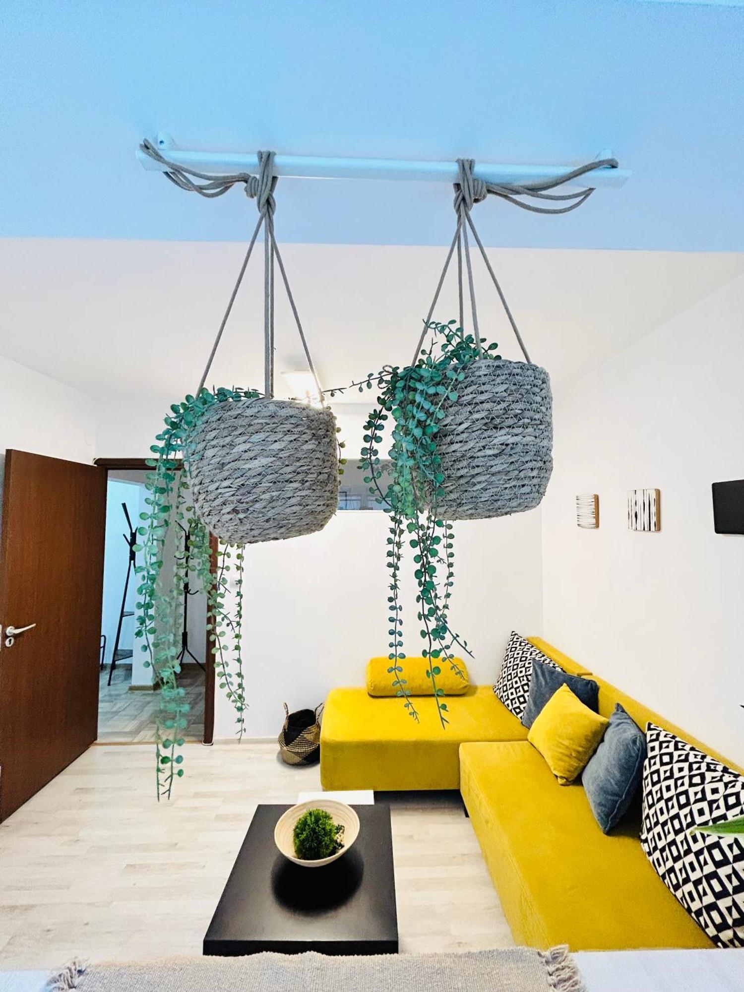 Alisz Apartments 티미쇼아라 외부 사진