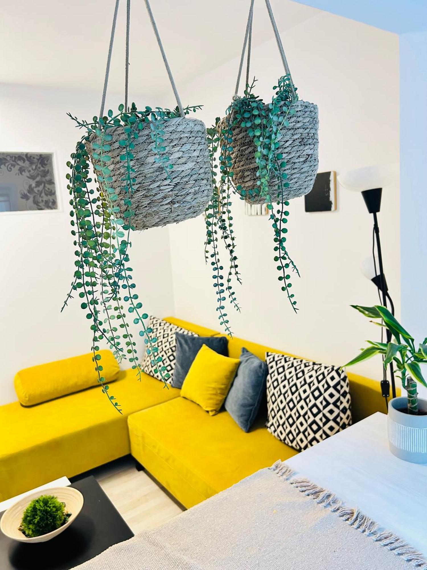 Alisz Apartments 티미쇼아라 외부 사진