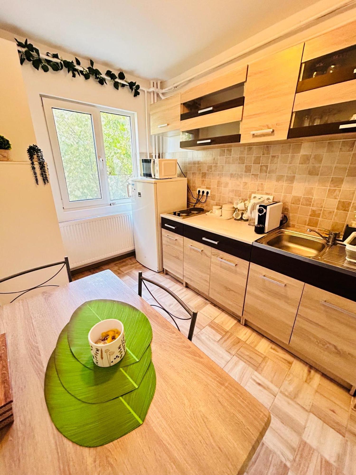 Alisz Apartments 티미쇼아라 외부 사진