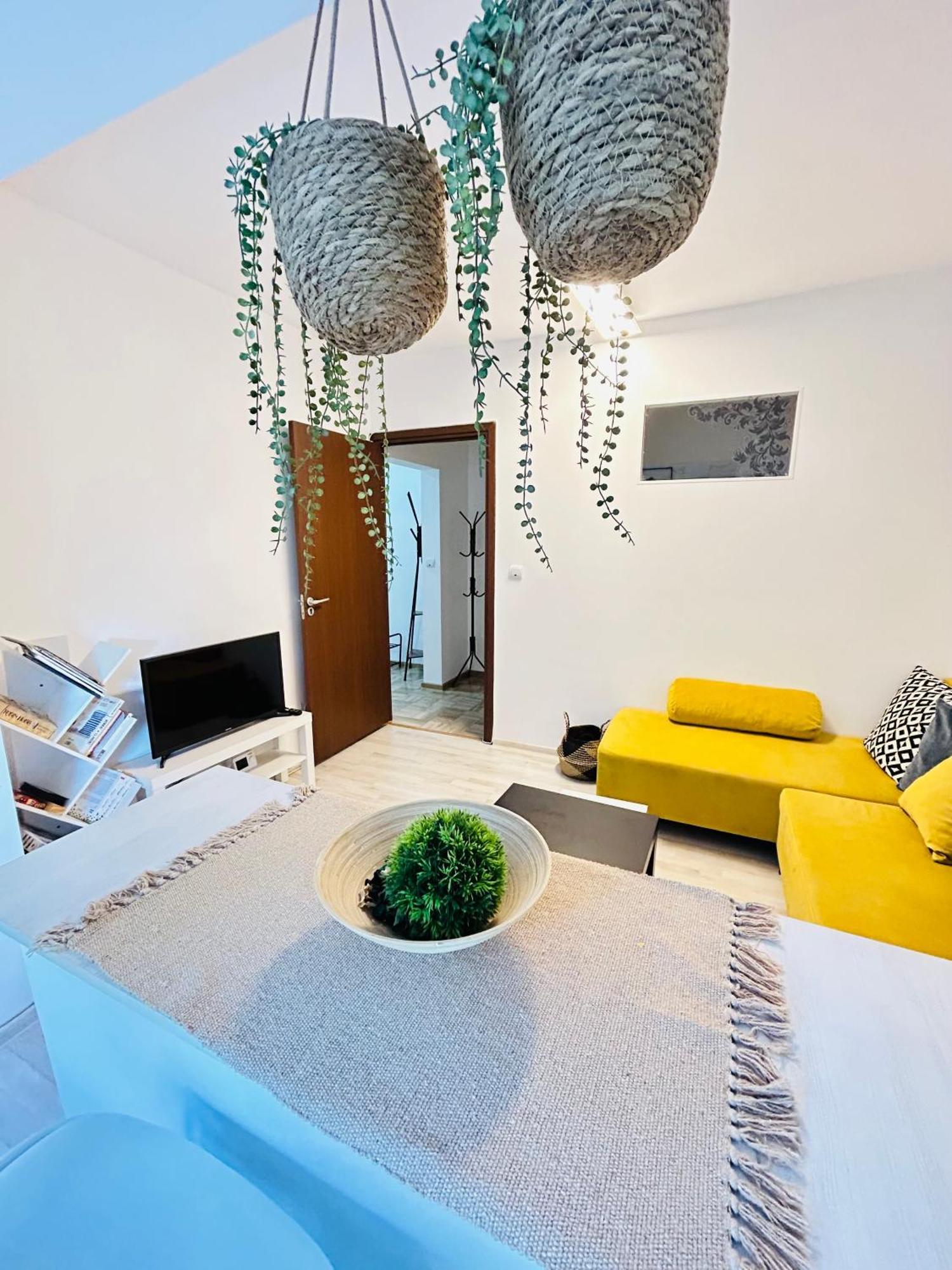 Alisz Apartments 티미쇼아라 외부 사진