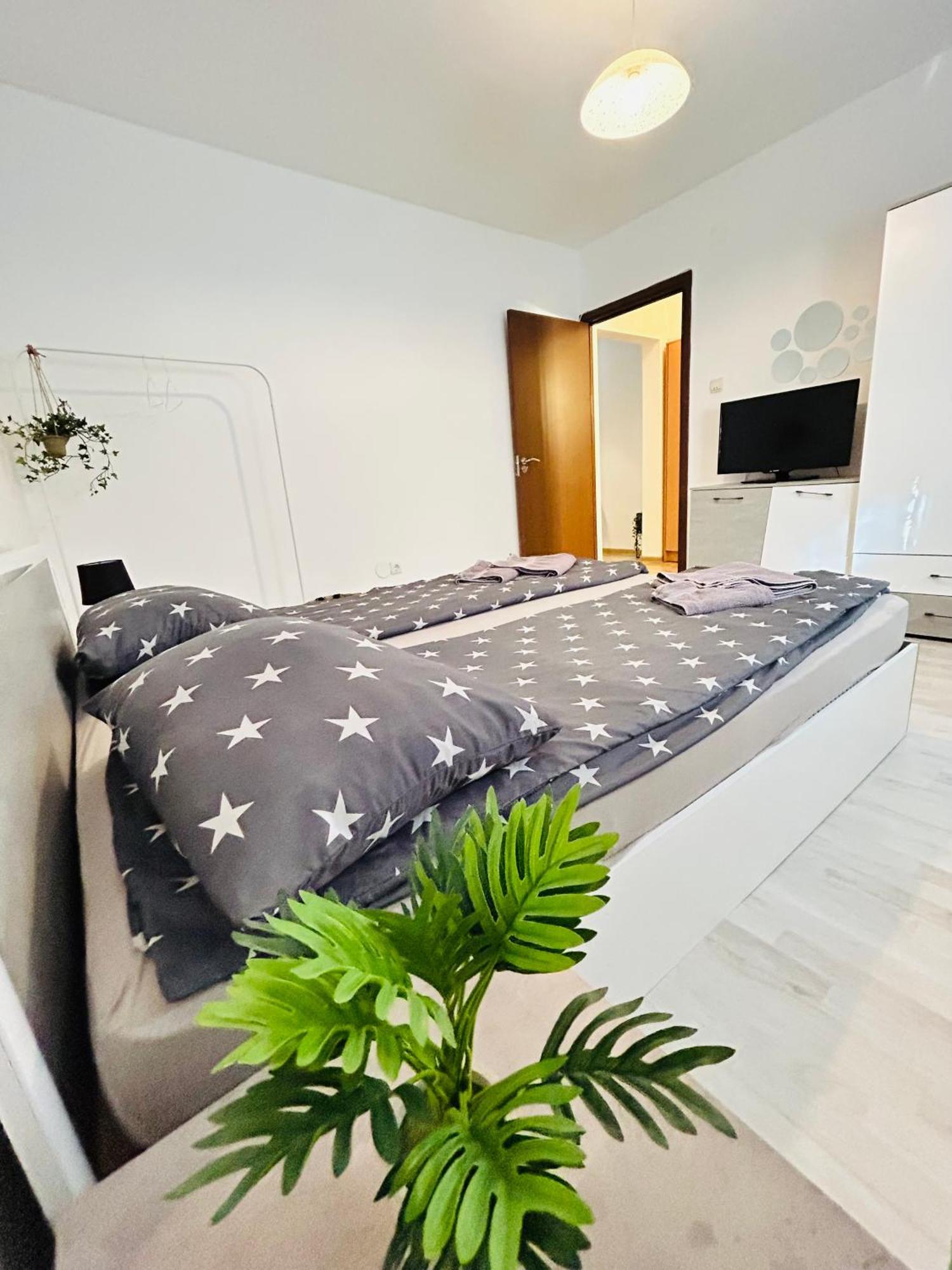 Alisz Apartments 티미쇼아라 외부 사진