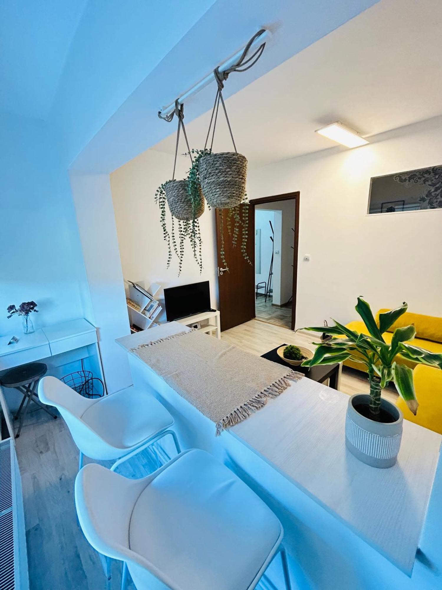 Alisz Apartments 티미쇼아라 외부 사진